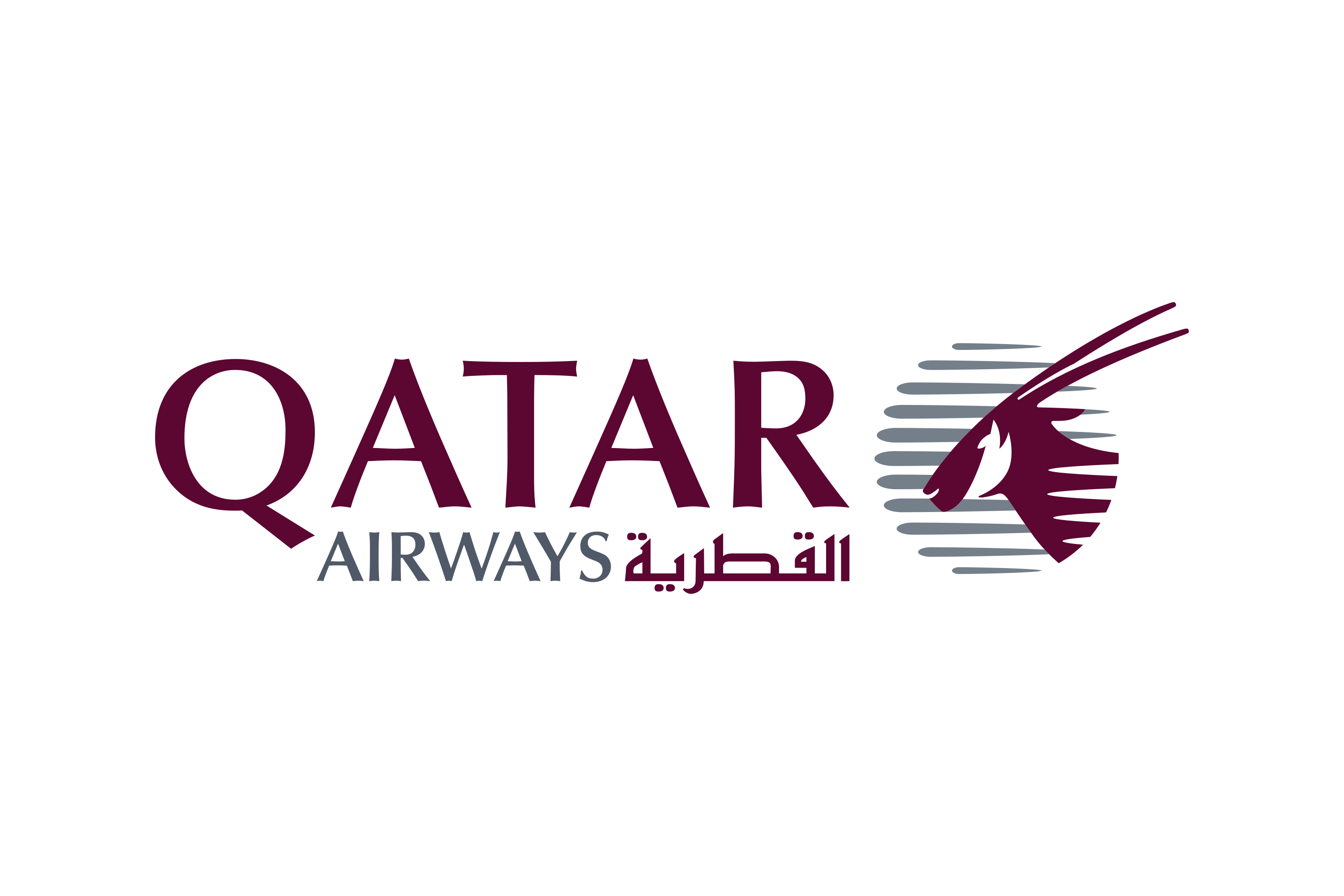 Airline Partner
